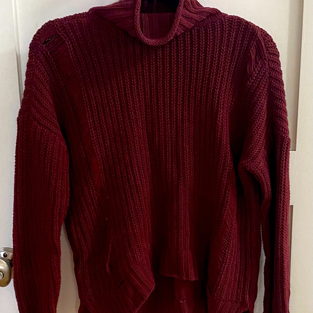 Express Turtleneck Sweater
